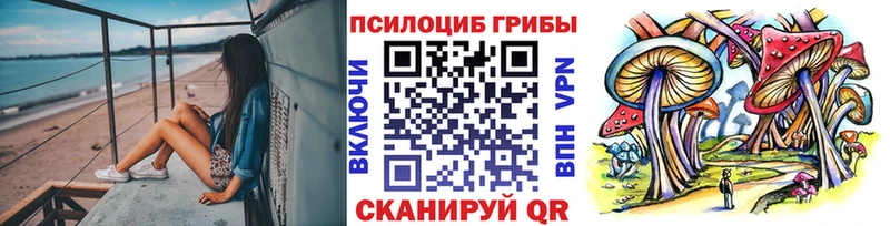 Псилоцибиновые грибы MAGIC MUSHROOMS  Могоча 