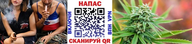 MEGA ONION  Могоча  Конопля сатива  где можно купить  